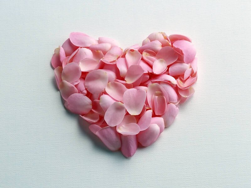 Pink Rose Petals — Calm, Photograph, Heart Shape