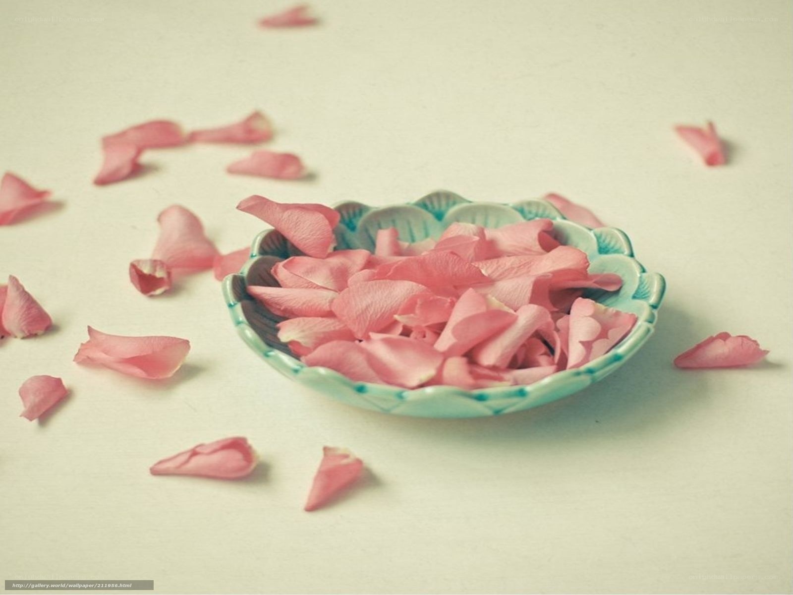 Pink rose petals in a bowl