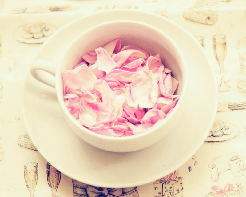 Pink Rose Petals in Cup