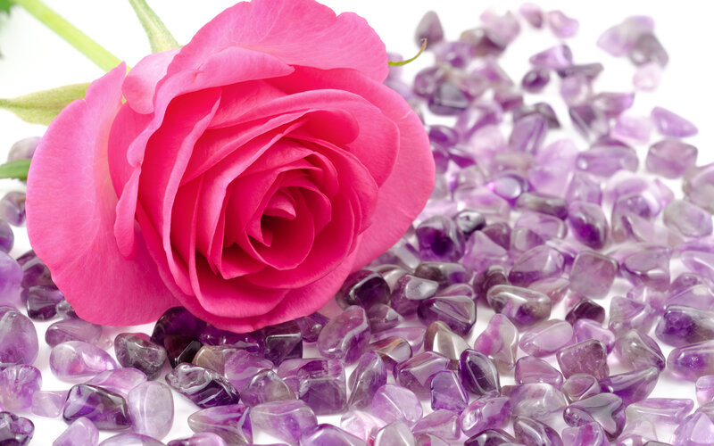 Pink Rose with Amethyst