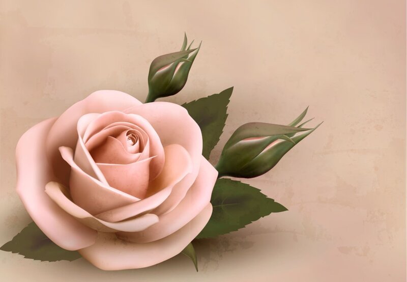 Pink Rose with Buds — Calm, Digital Art