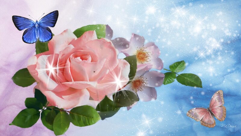 Pink Rose with Butterflies — Dreamy