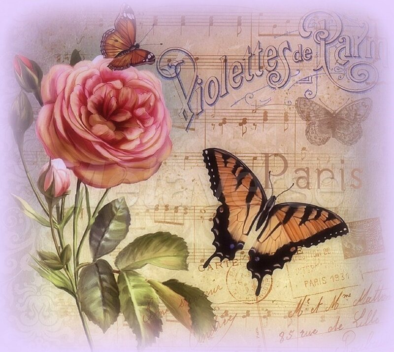 Pink Rose with Butterflies — Romantic