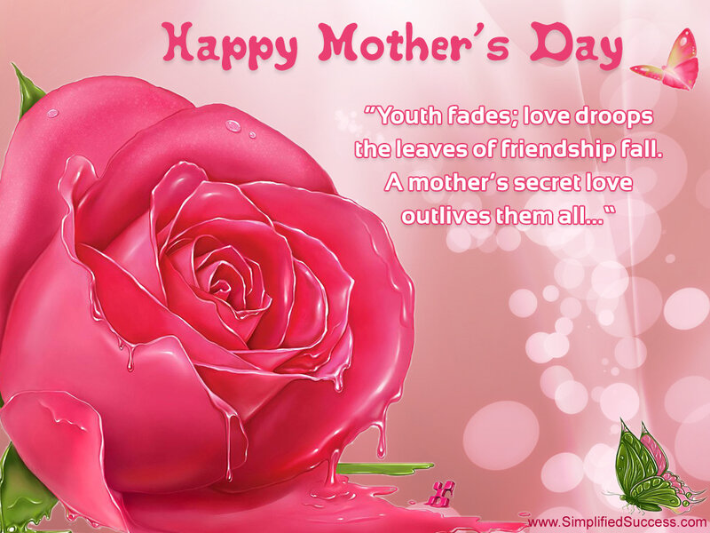 Pink Rose with Butterflies — Sentimental