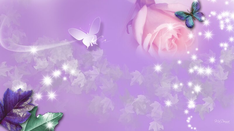 Pink Rose with Butterflies