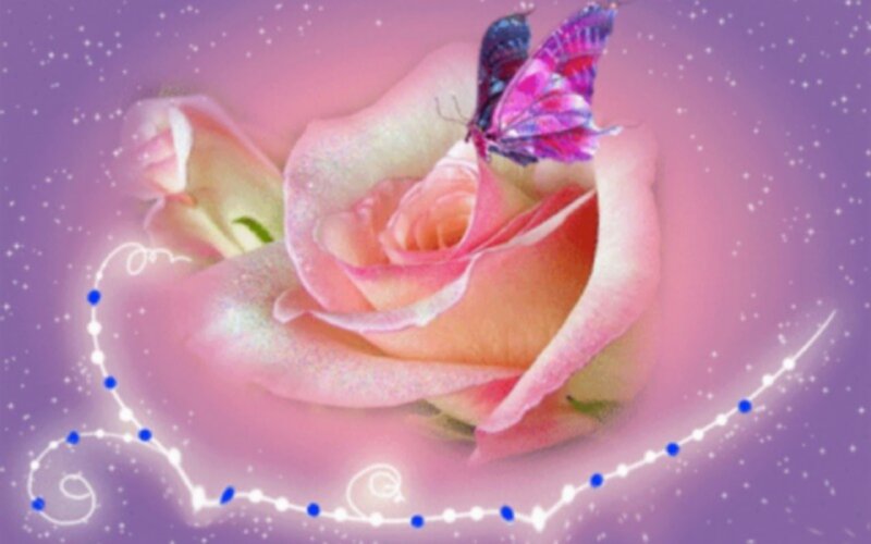 Pink Rose with Butterfly — Purple