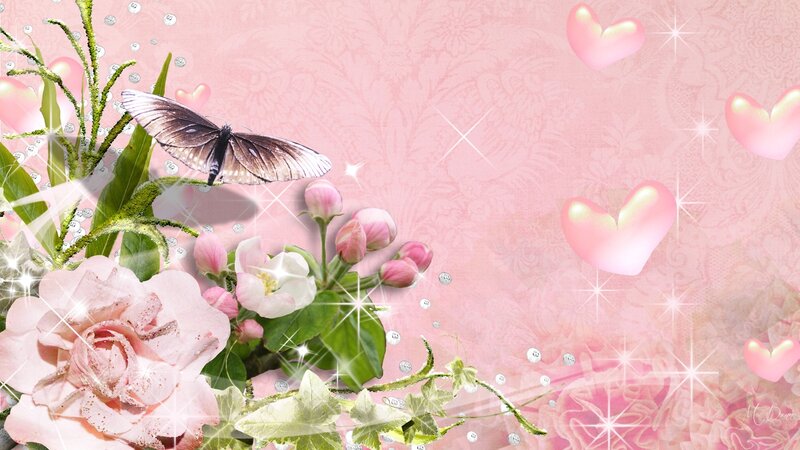 Pink Rose with Butterfly — Romantic