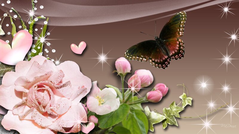 Pink Rose with Butterfly