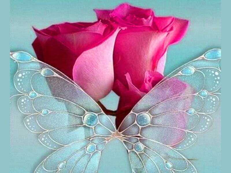 Pink Rose with Butterfly Wings