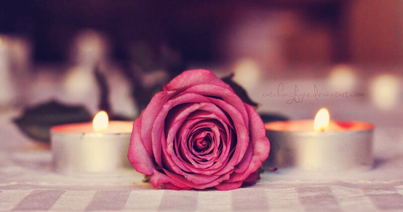 Pink Rose with Candles — Calm, Night