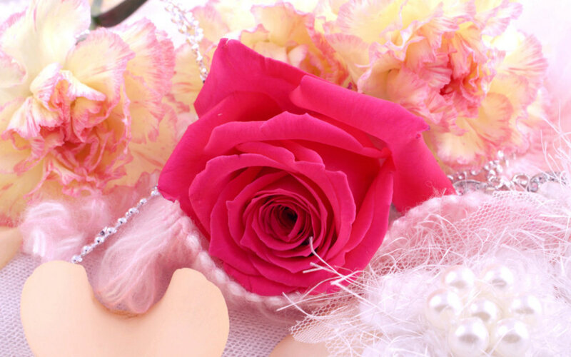 Pink Rose with Carnations