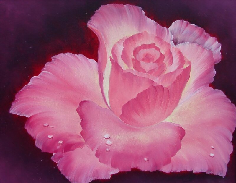Pink Rose with Dew Drops — Dramatic