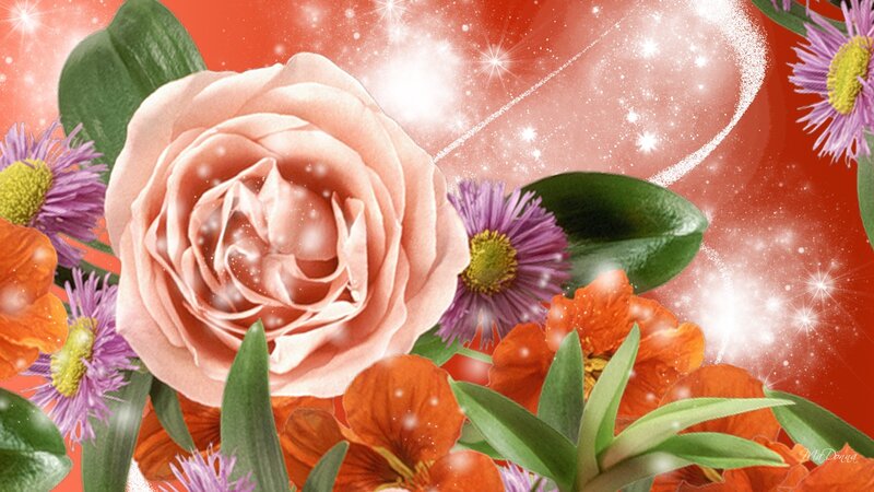 Pink Rose with Flowers