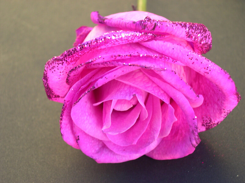 Pink Rose with Glitter — Calm