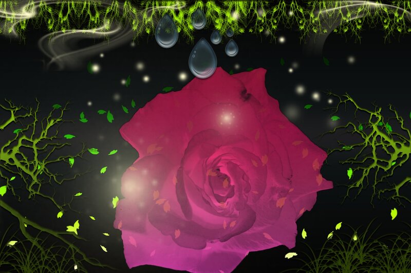 Pink Rose with Glowing Vines