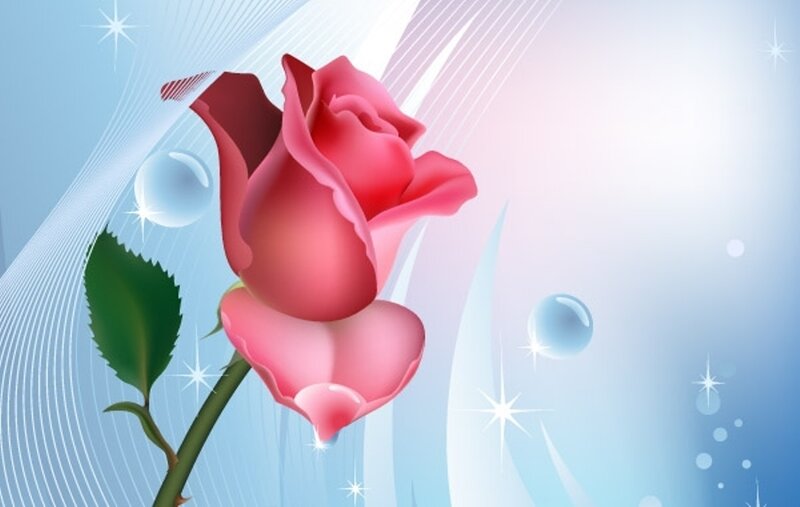 Pink Rose with Green Leaf