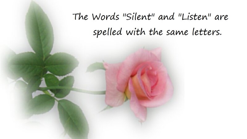 Pink Rose with Green Leaves — Calm