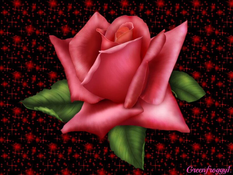 Pink Rose with Green Leaves — Dramatic, Digital Art