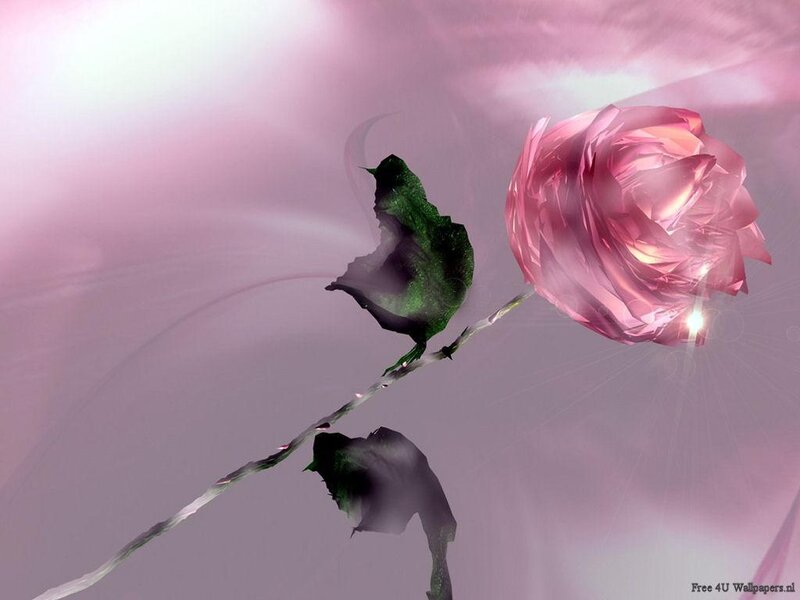 Pink Rose with Green Leaves — Dreamy