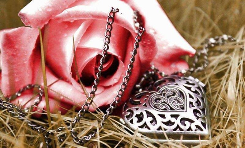 Pink Rose with Heart Locket
