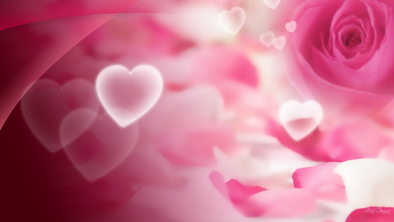 Pink Rose with Heart Shapes