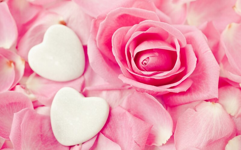 Pink Rose with Heart Stones
