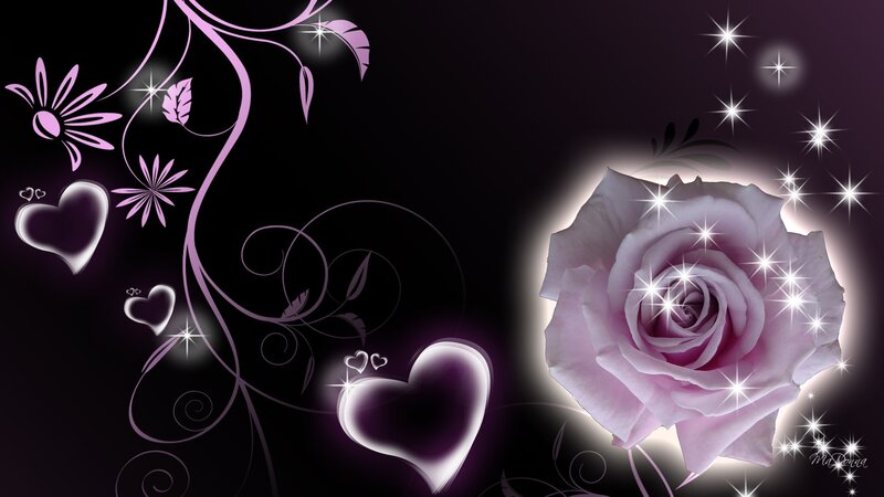 Pink Rose with Hearts — Purple