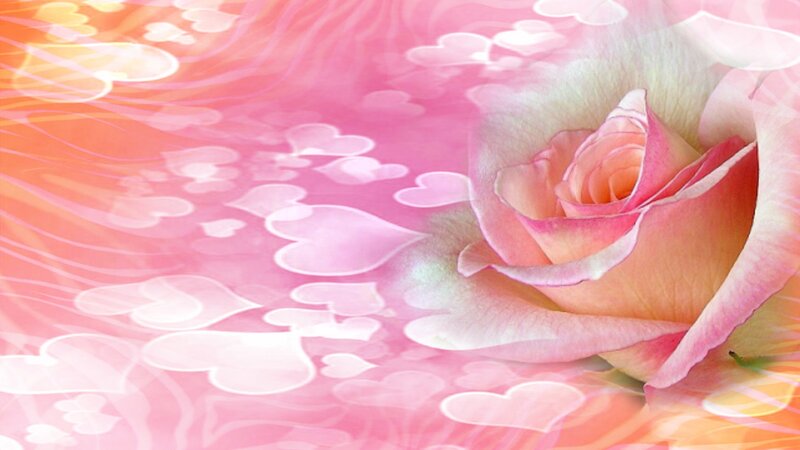 Pink Rose with Hearts — Romantic, Digital Art, Petals