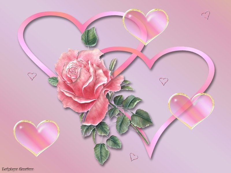 pink rose with hearts