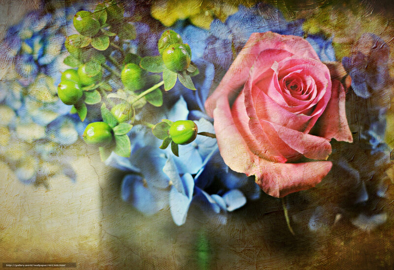 Pink rose with hydrangeas