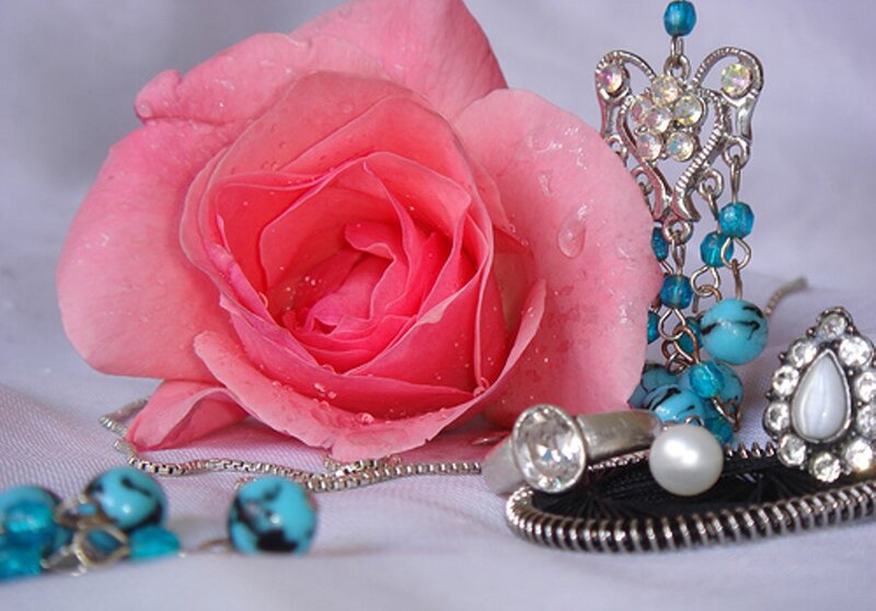 Pink Rose with Jewelry