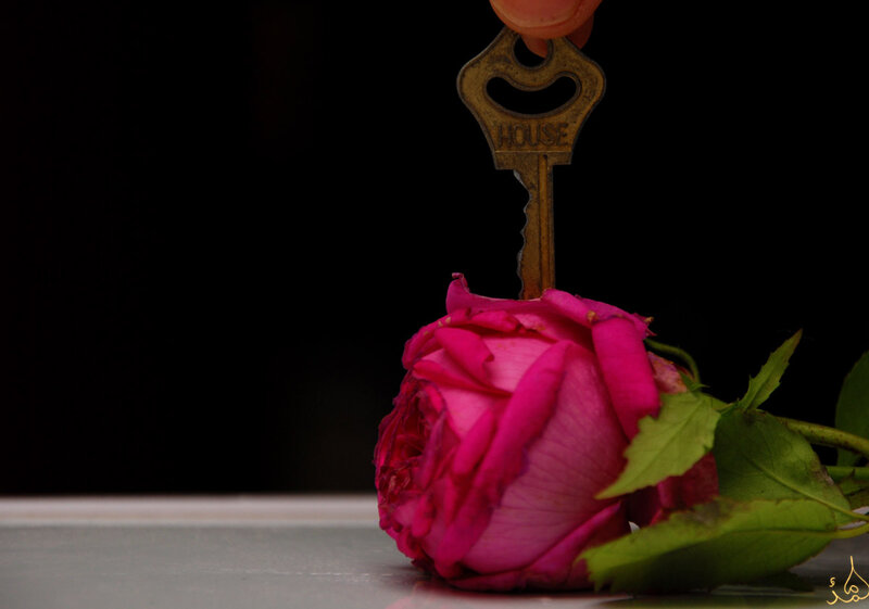 Pink Rose with Key