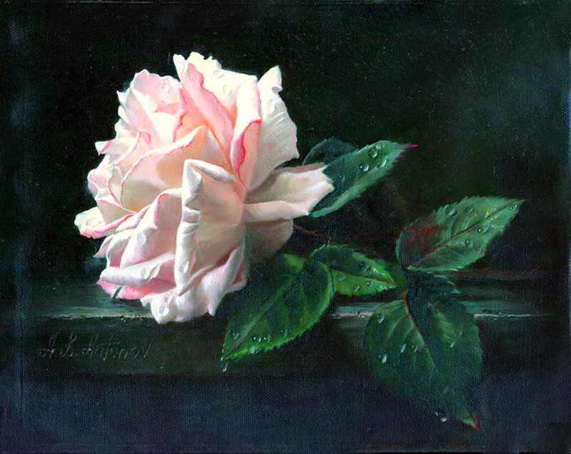 Pink Rose with Leaves — Dramatic
