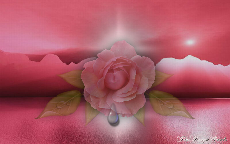 Pink Rose with Leaves — Serene, Digital Art, Leaf