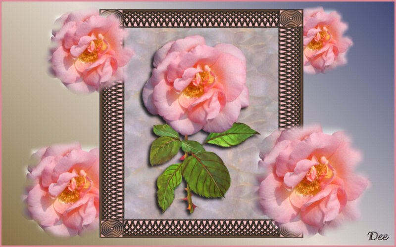 Pink Rose with Leaves — Serene, Digital Art