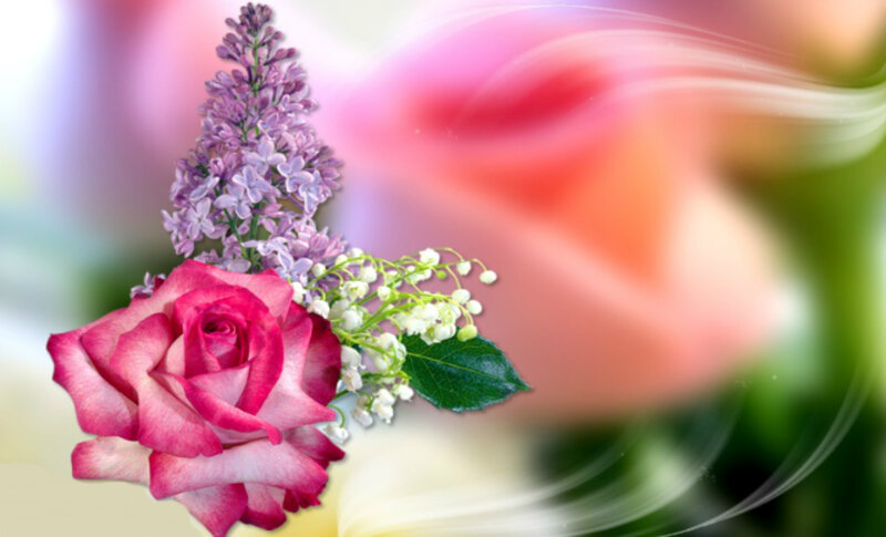 Pink Rose with Lilac