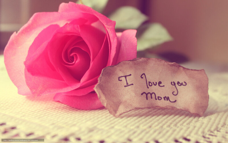 Pink Rose with Note — Sentimental, Photograph, Tablecloth