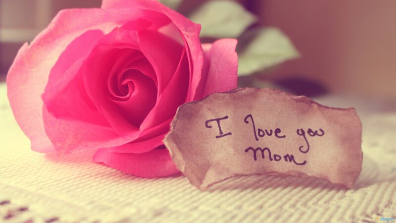 Pink Rose with Note — Sentimental, Photograph