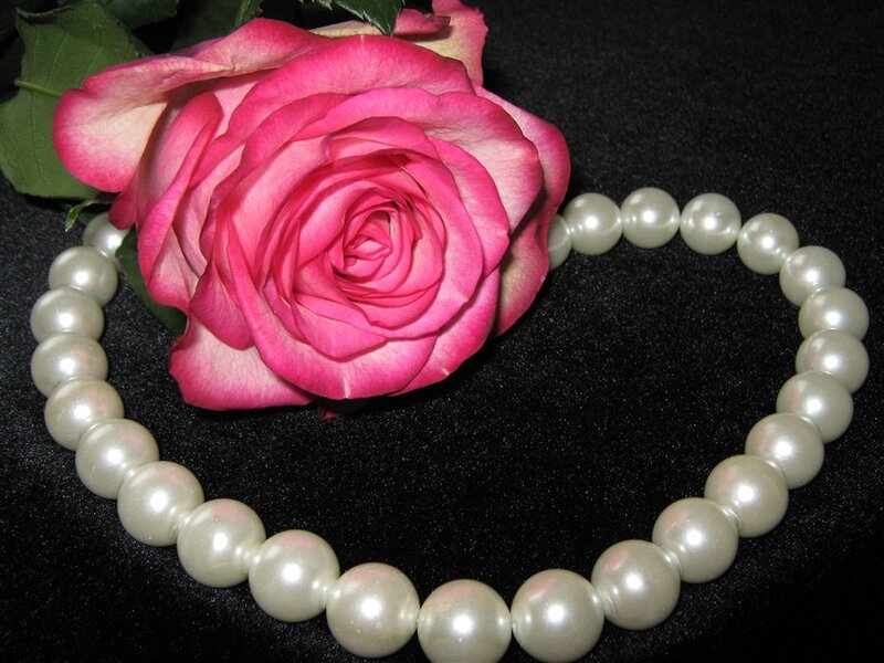 Pink Rose with Pearl Necklace