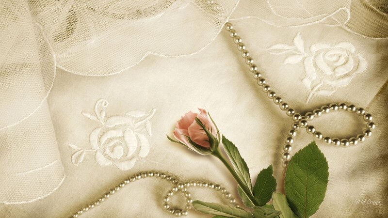 Pink Rose with Pearls — Beige