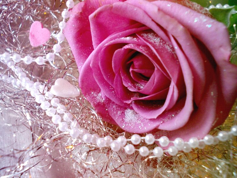 Pink Rose with Pearls — Romantic