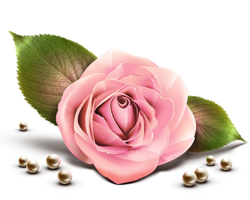 Pink Rose with Pearls — Serene, Digital Art