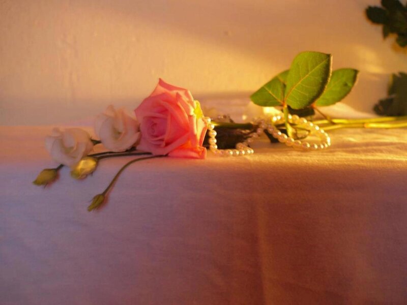 Pink Rose with Pearls — Serene, Sunset