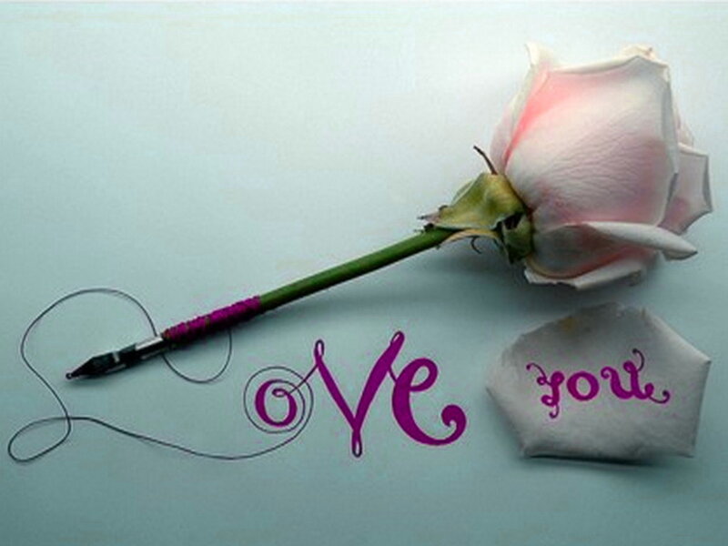 Pink Rose with Pen