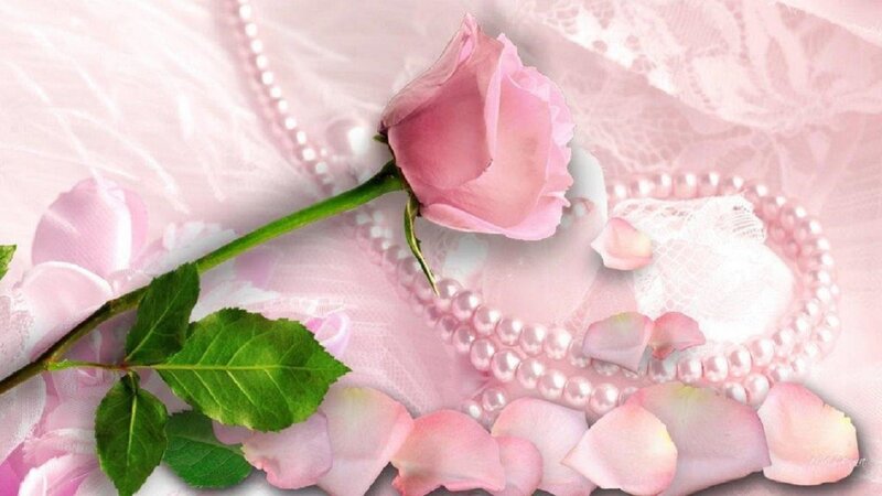 Pink Rose with Petals — Romantic, Photograph