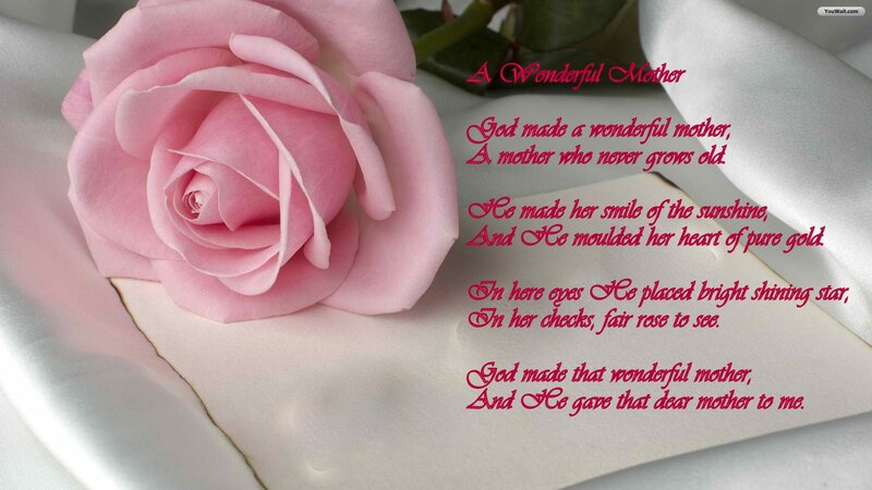 Pink Rose with Poem
