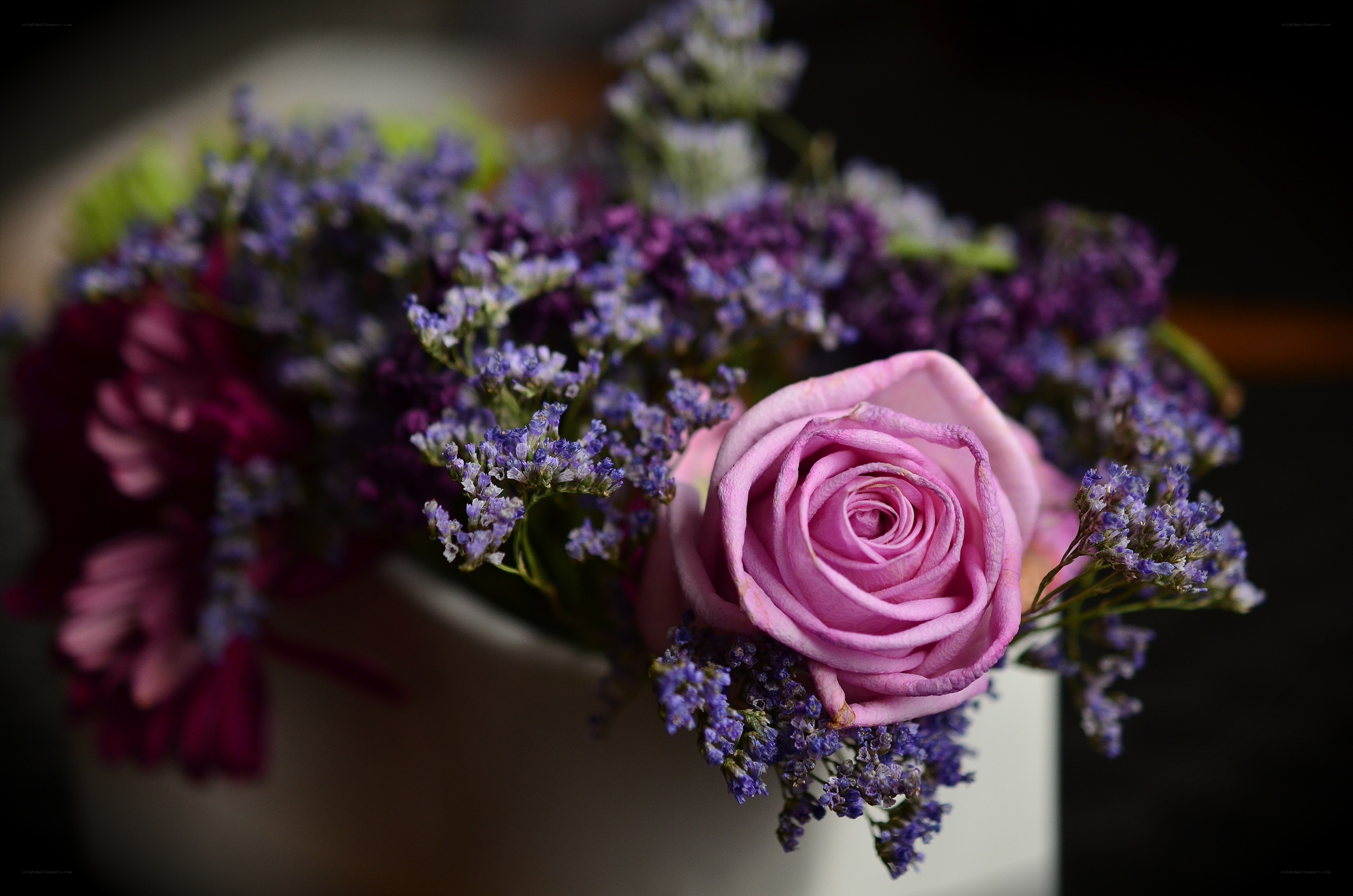 Pink rose with purple flowers