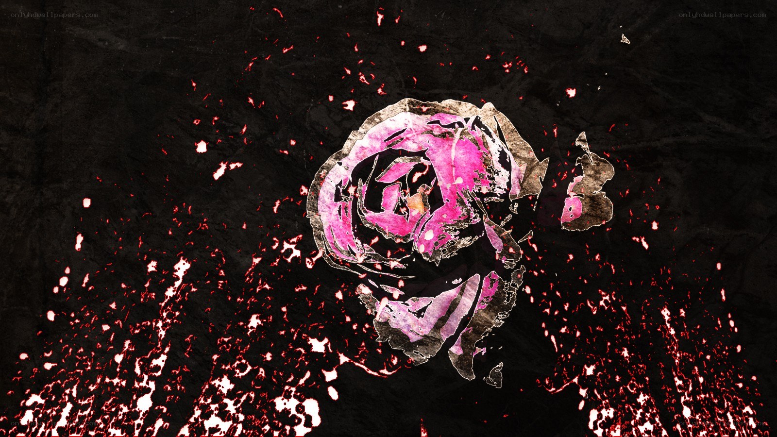 Pink rose with red splatters