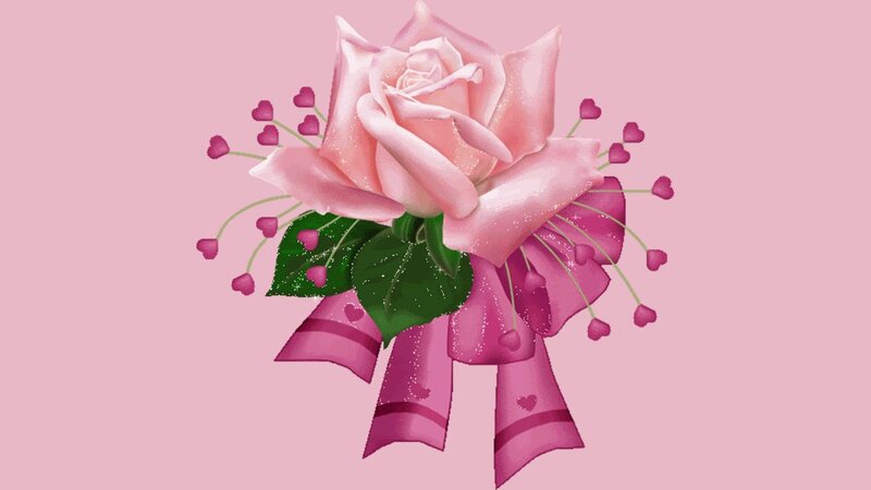 Pink Rose with Ribbon — Romantic