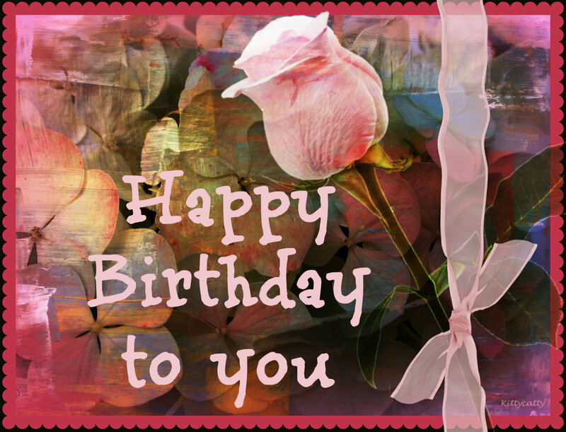 Pink Rose with Ribbon